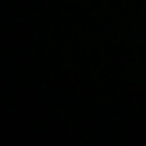 Meet your Posher, Dee